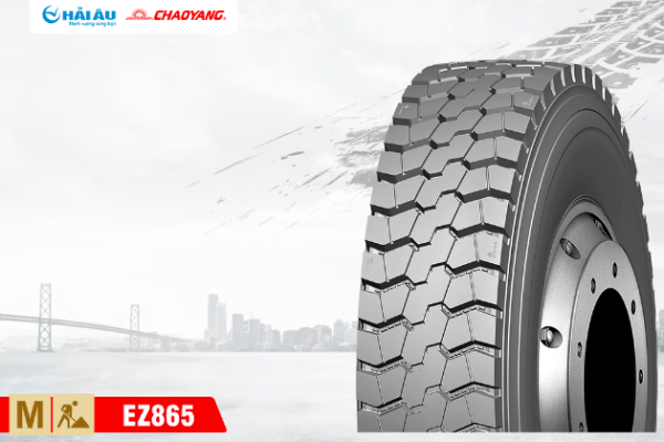 Lốp Xe ChaoYang EZ865 11.00R20